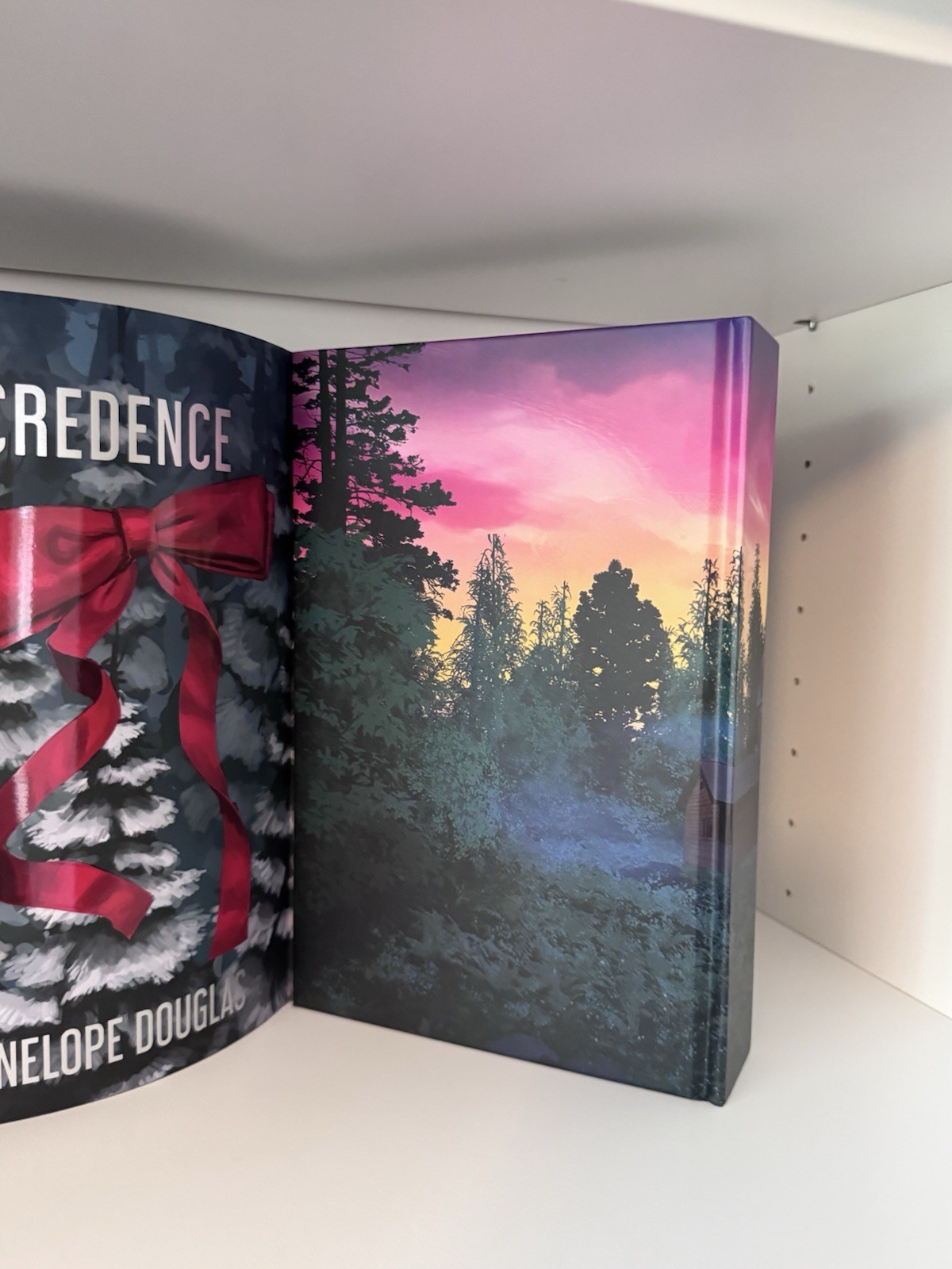 Credence By Penelope Douglas Books For Days Crate Special Edition Bfdc