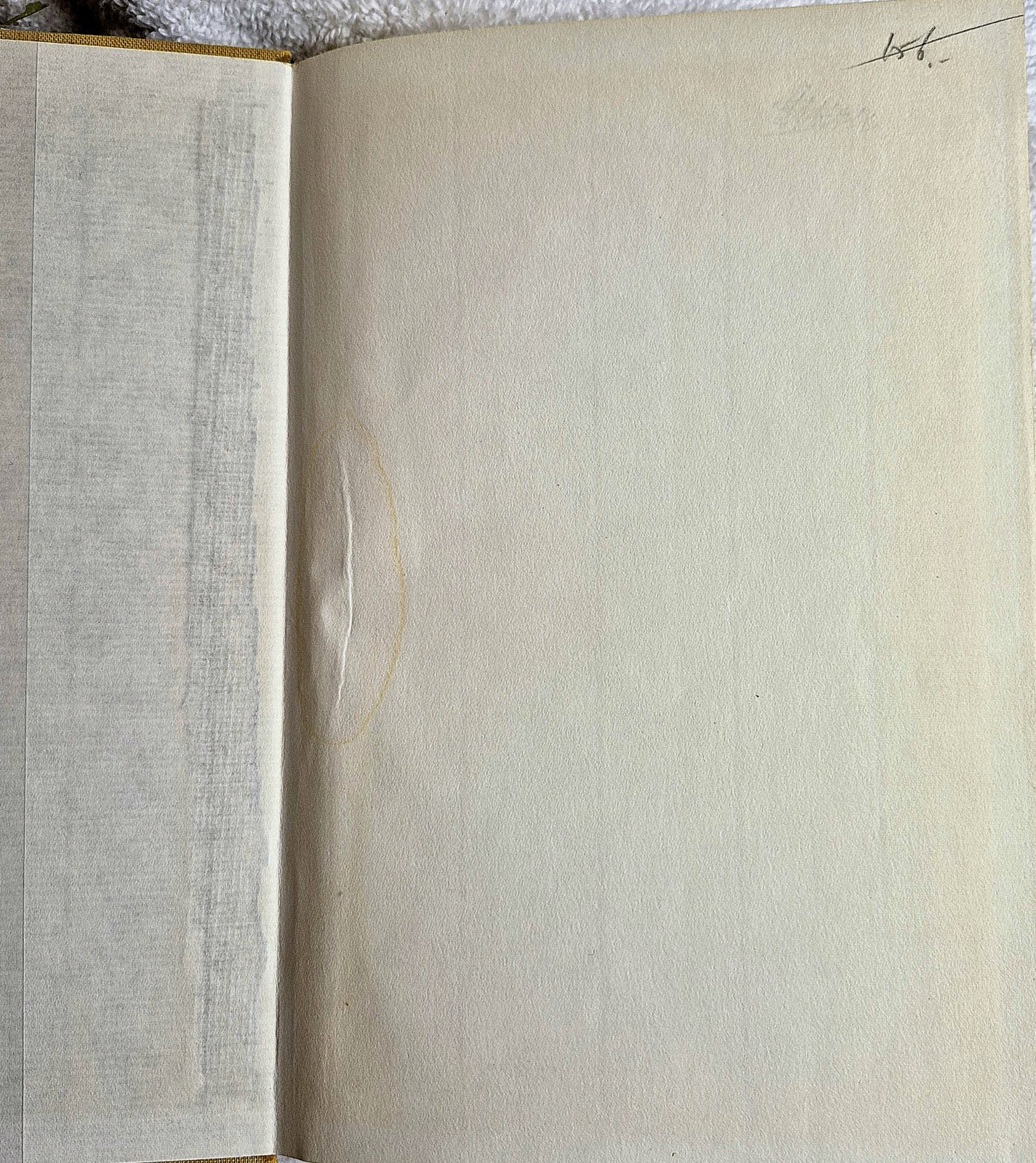 Nietzsche Werke • Jenseits & Genealogie ( Vol. 2 • de Gruyter 1968) • VG