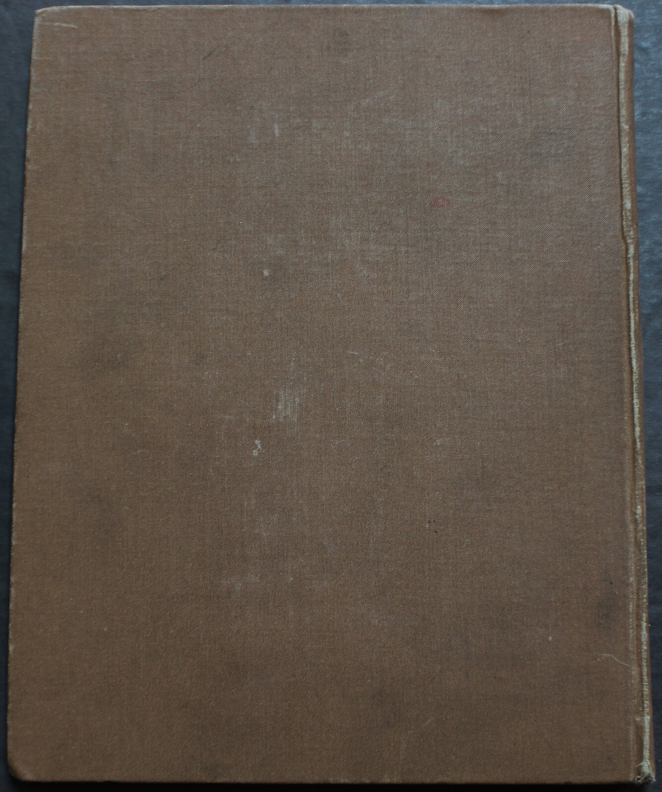 Rare Antique Old Book Beginner Watercolor Series Painting ~1890 Illustrated Work