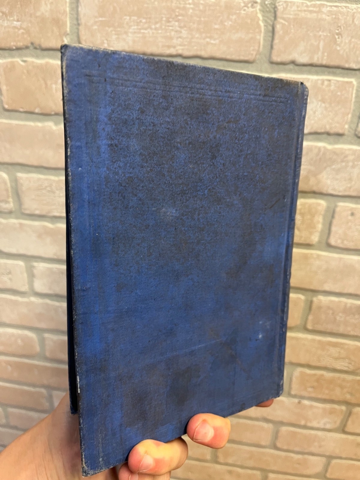 1899 Wisconsin Blue Book Hardcover Book Antique Vintage Diagram Senate and Assem