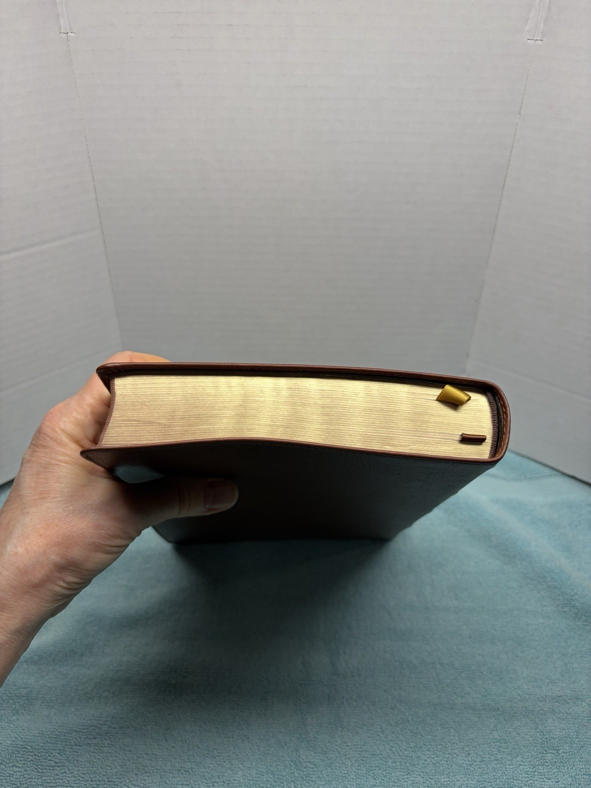NIV Thinline Bible, Giant Print, Genuine Leather, Buffalo, Red Letter Edition