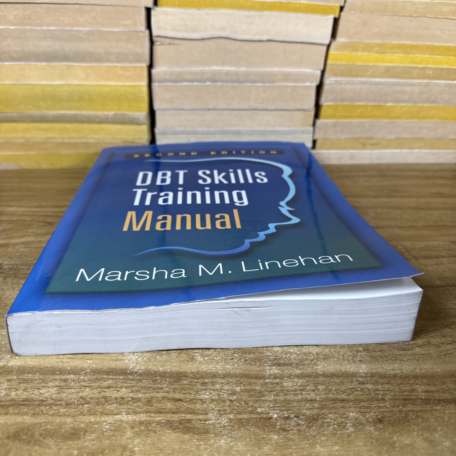DBT Skills Training Manual, Second Edition by Marsha M. Linehan (2014, Trade
