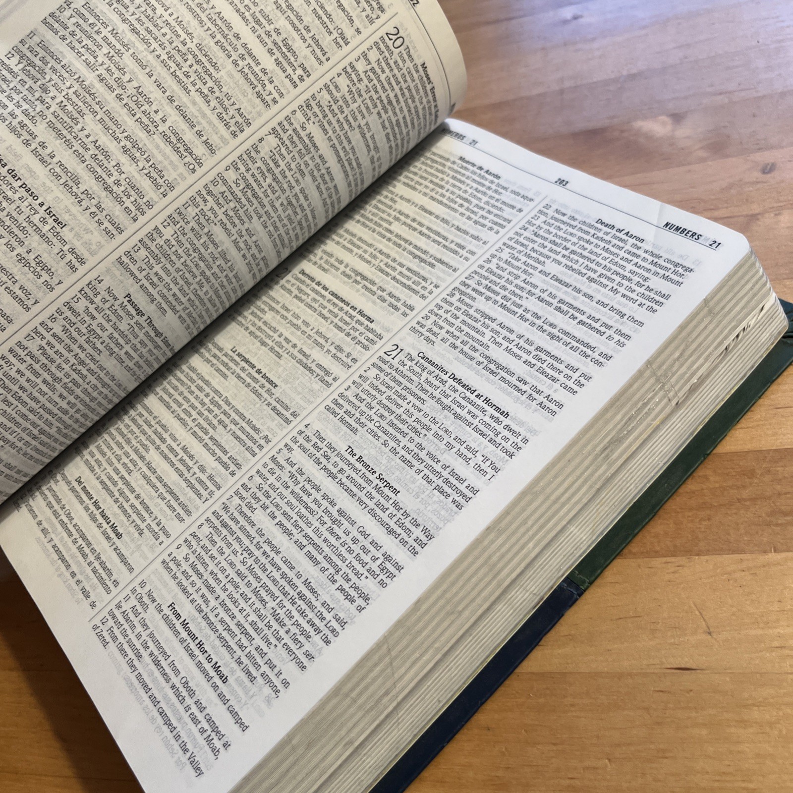 NKJV/RVR60, Bilingual Bible, Leathersoft, 2-Tones Green and Blue / NKJV/RVR6…