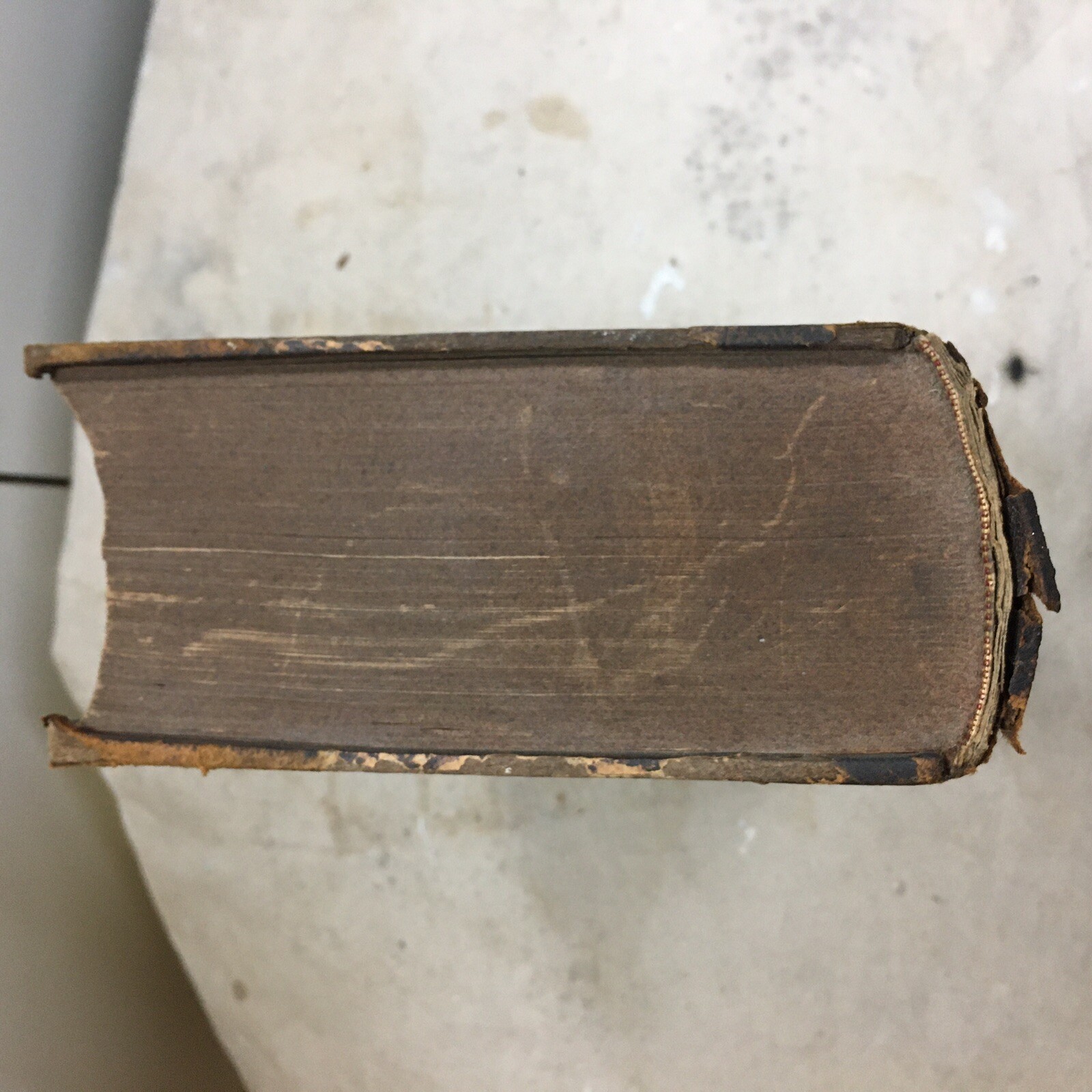 Antique Popular Science Monthly Book Vol. 28 1885 -86. 880 Pages