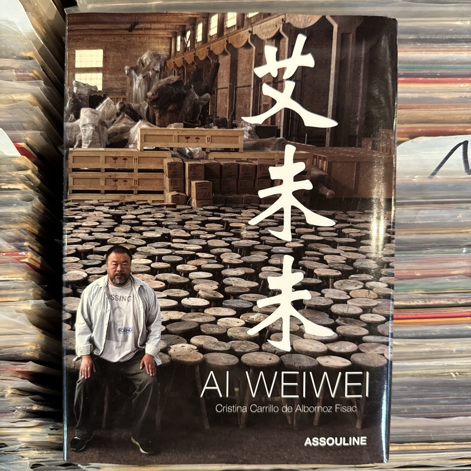 Ai Weiwei by Cristina Carrillo de Albornoz Fisac (2014, Hardcover)
