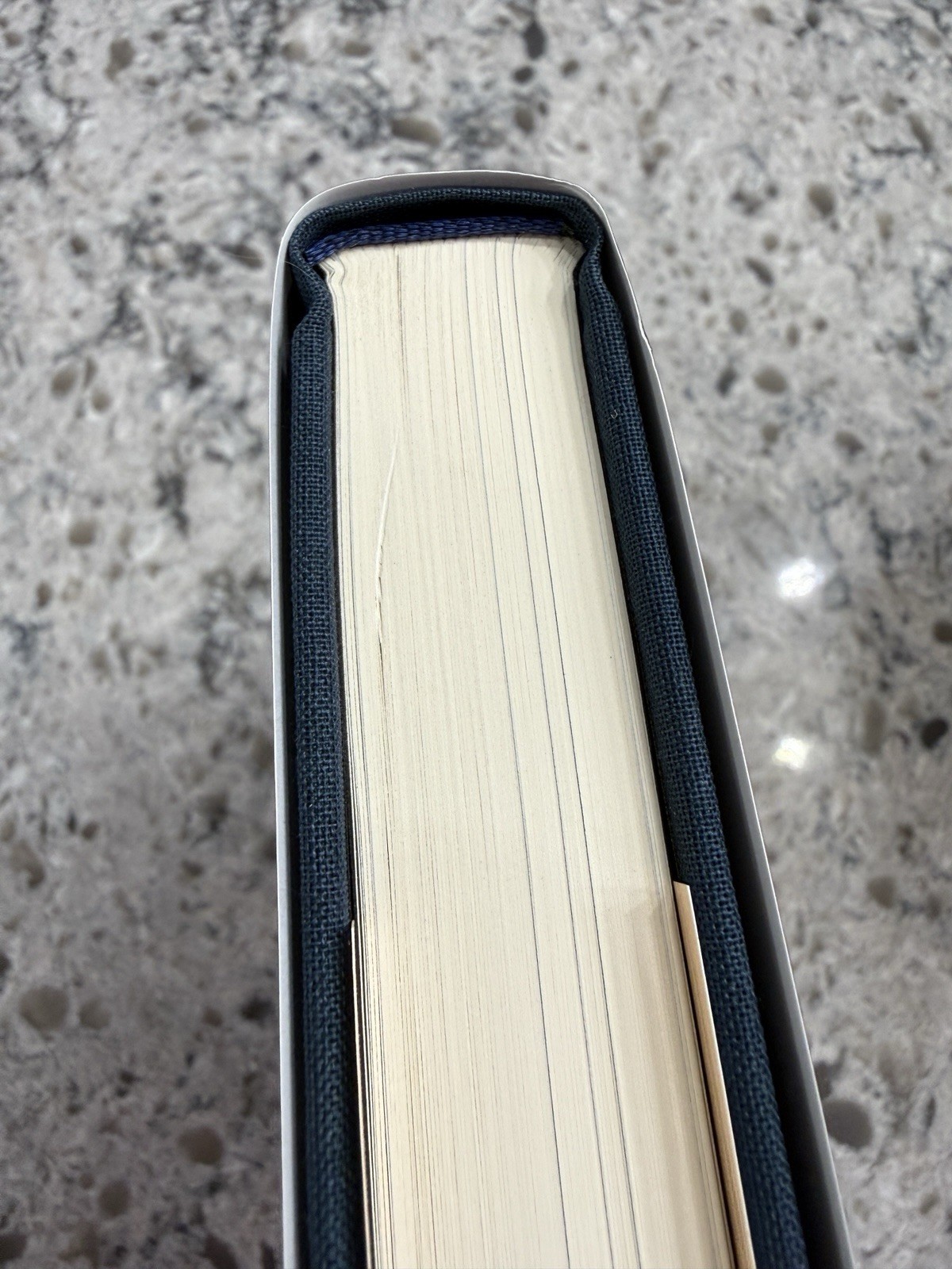 A Scanner Darkly By Philip K. Dick Suntup Artist Edition