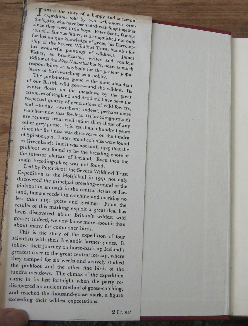 1953 A Thousand Geese- Peter Scott James Fisher 1st Edition