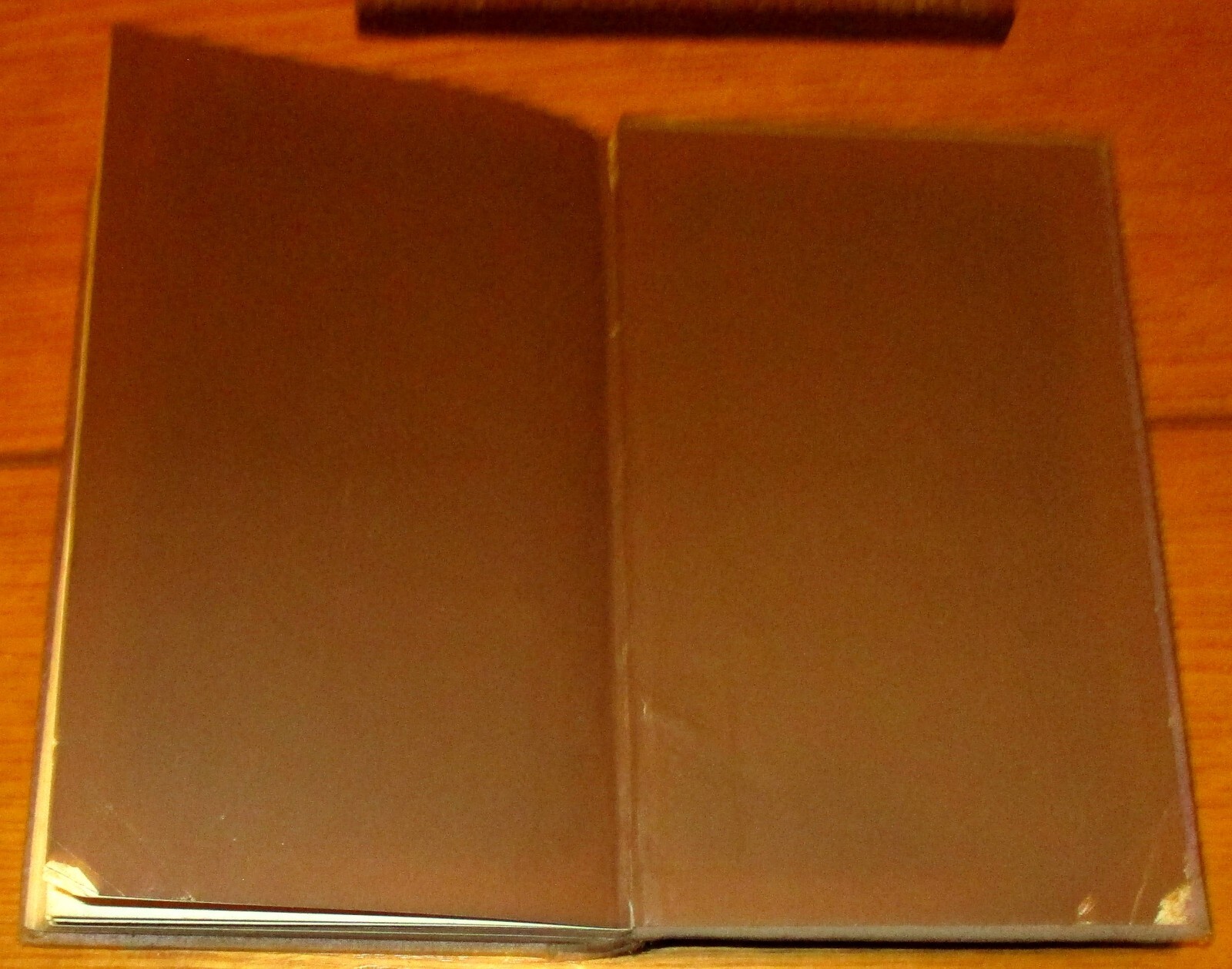 1881 Maidens of Hallowed Names by Charles Piccirillo H/C 366 Pages RARE!!!