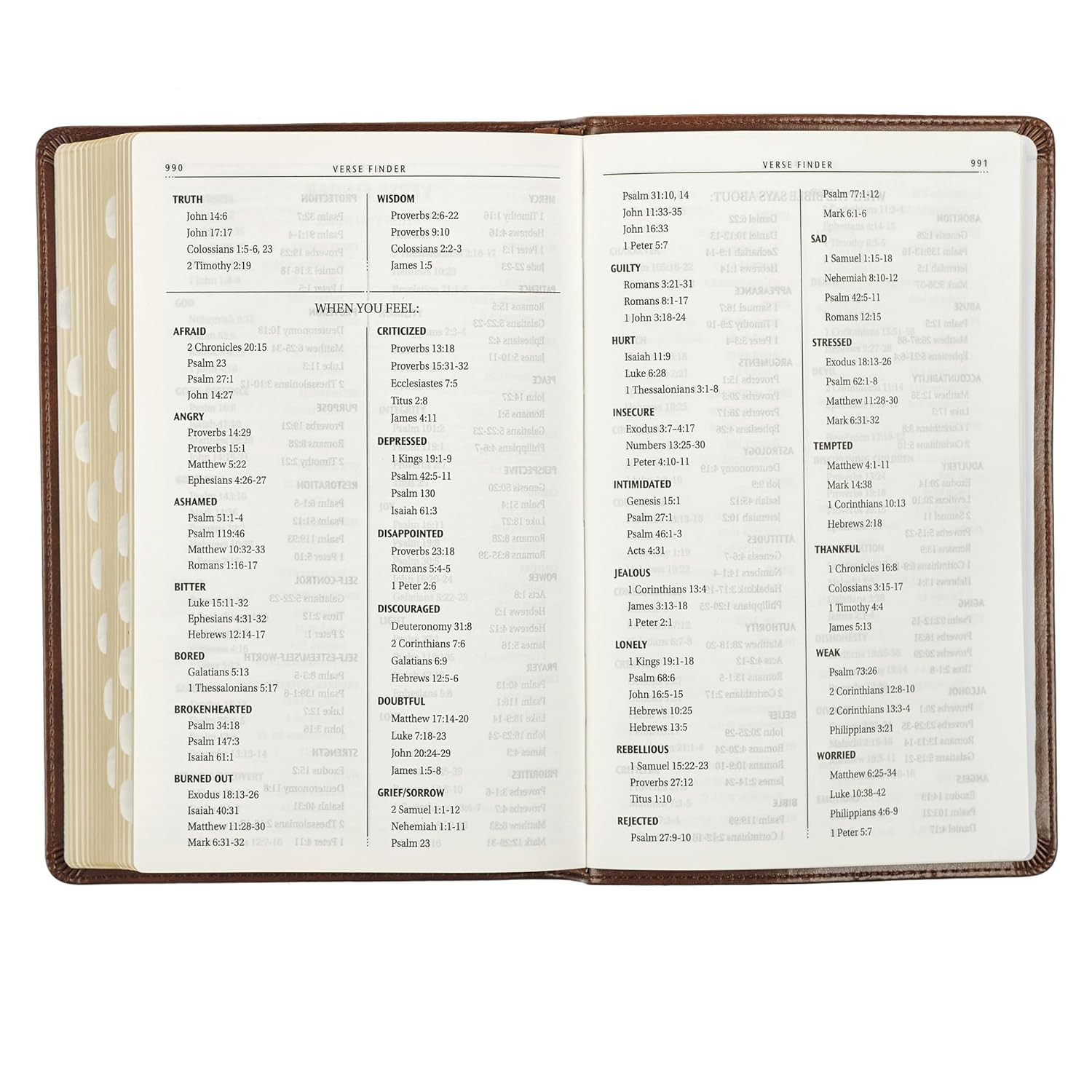 KJV Holy Bible, Standard Size Faux Leather Red Letter Edition Thumb Index & Ribb