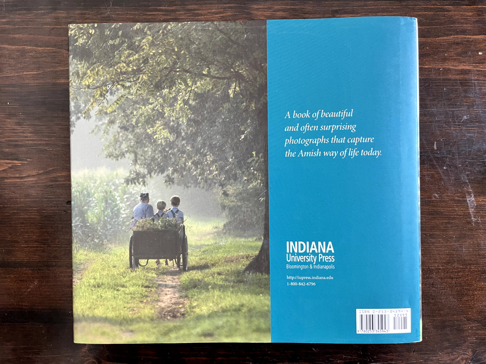 Amish Life : Living Plainly and Serving God Hardcover — Darryl D. Jones