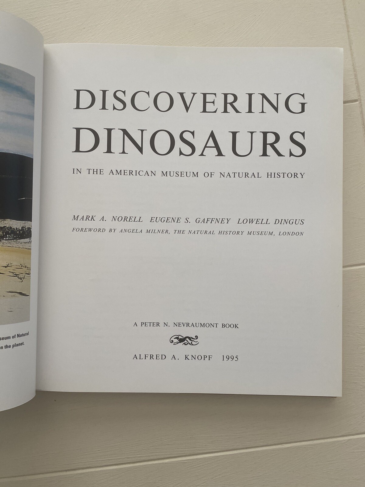 Discovering Dinosaurs: In the American Museum of Natural History – GOOD