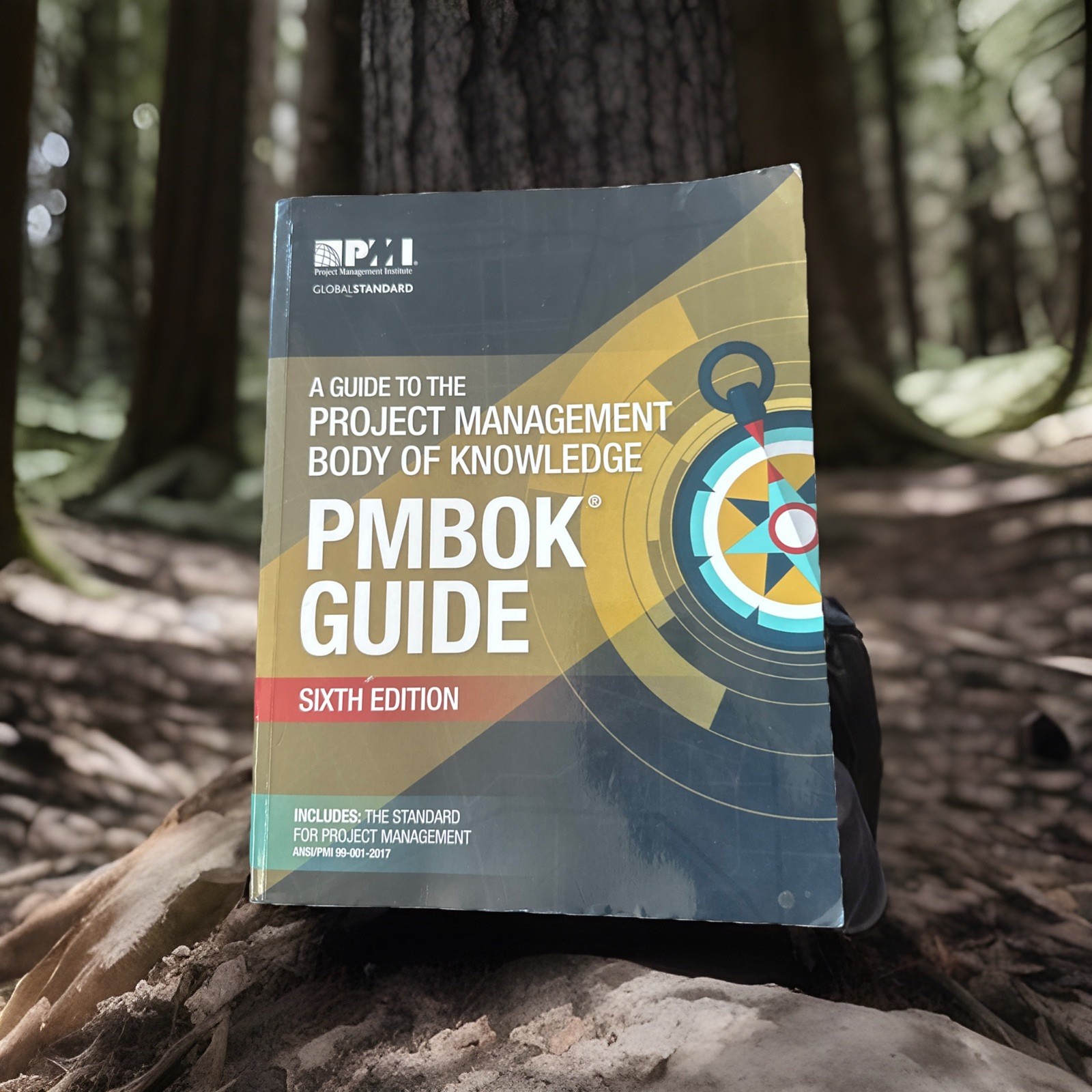 A Guide to the Project Management Body of Knowledge Paperback – January 17, 2023