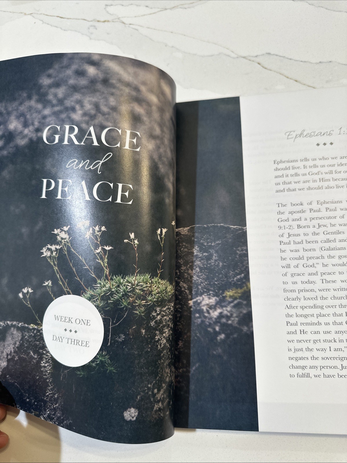 Chosen: A Study on the Book of Ephesians – Paperback – GOOD