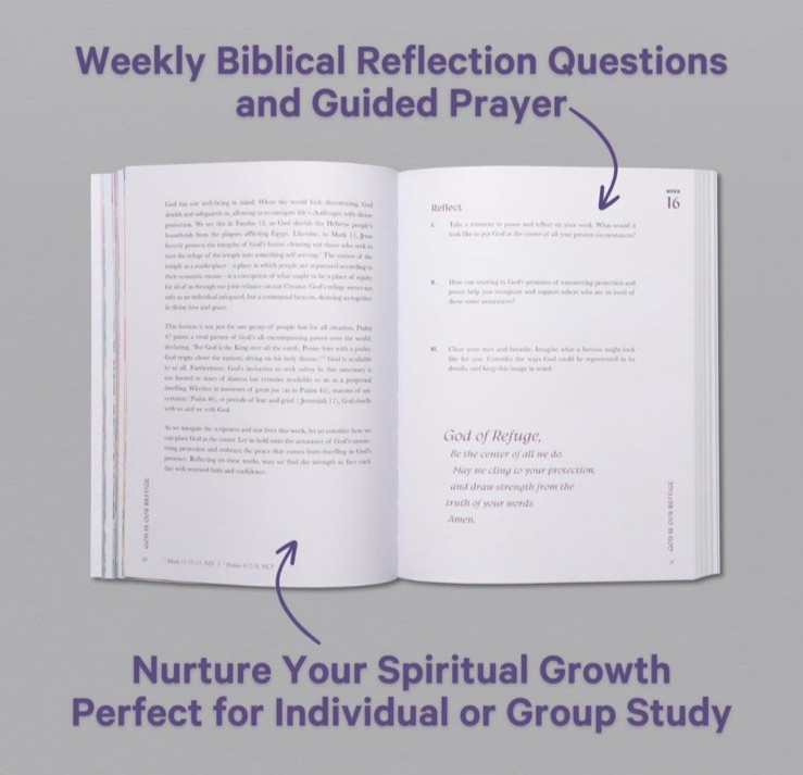 Beautiful Year in the Bible: the 52-Week Bible Study for Women (SC) by Alabaster
