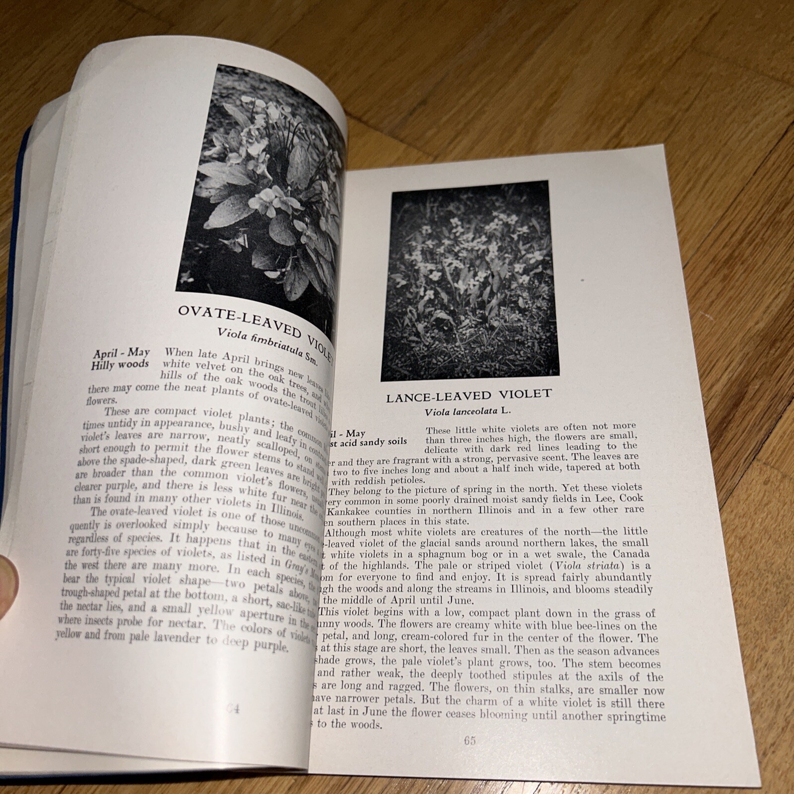 1960 ILLINOIS WILD FLOWERS by John Voss. 256 pages of Photos & Information