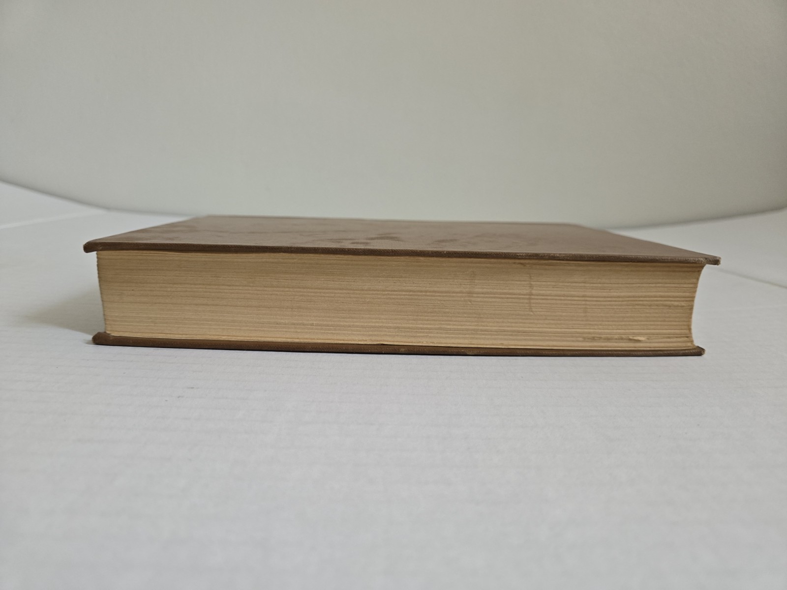 The New World of Islam by Lothrop Stoddard 1921 HC 1st Edition Chapman and Hall