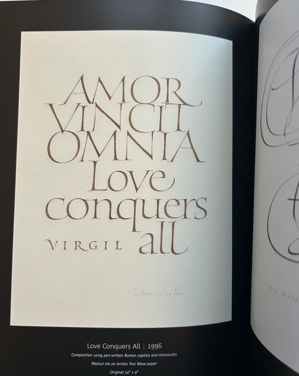 Scribe: Artist of the Written Word, John Stevens HCDJ RARE out of print