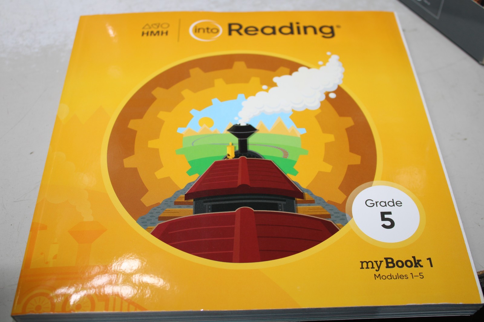 Student Mybook Grade 5 (Into Reading, myBook 1)