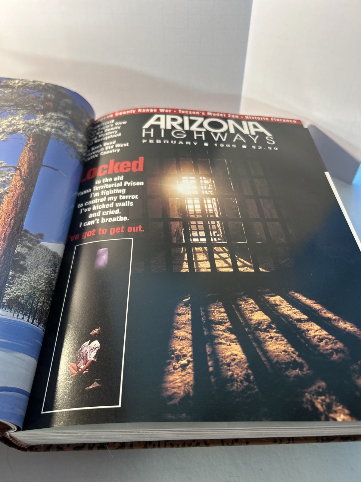 Vintage ARIZONA HIGHWAYS, 1995 Faux Leather Bound All Twelve Monthly Issues