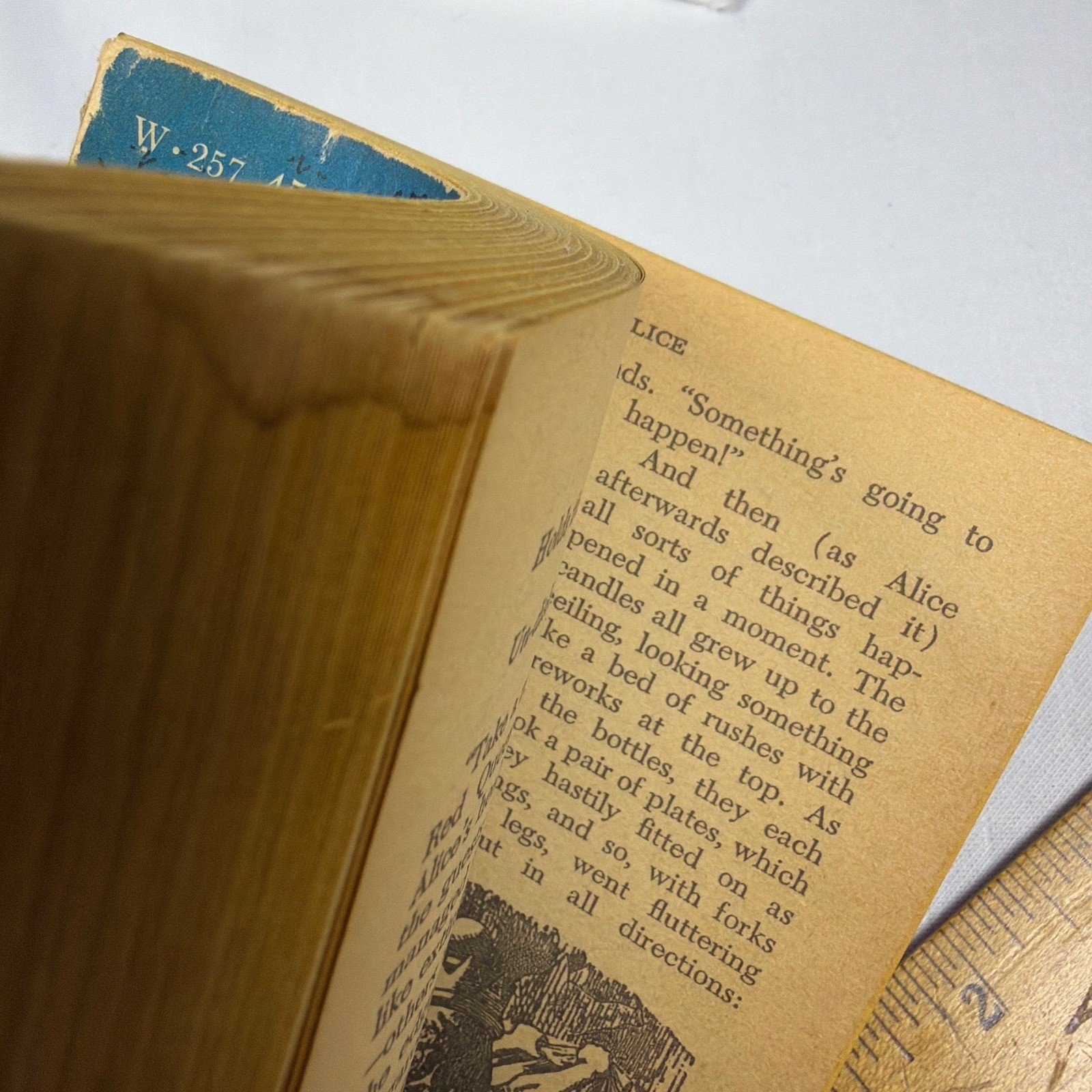 Washington Square Press Alice in Wonderland Lewis Carroll Book Vintage 1962 Blue