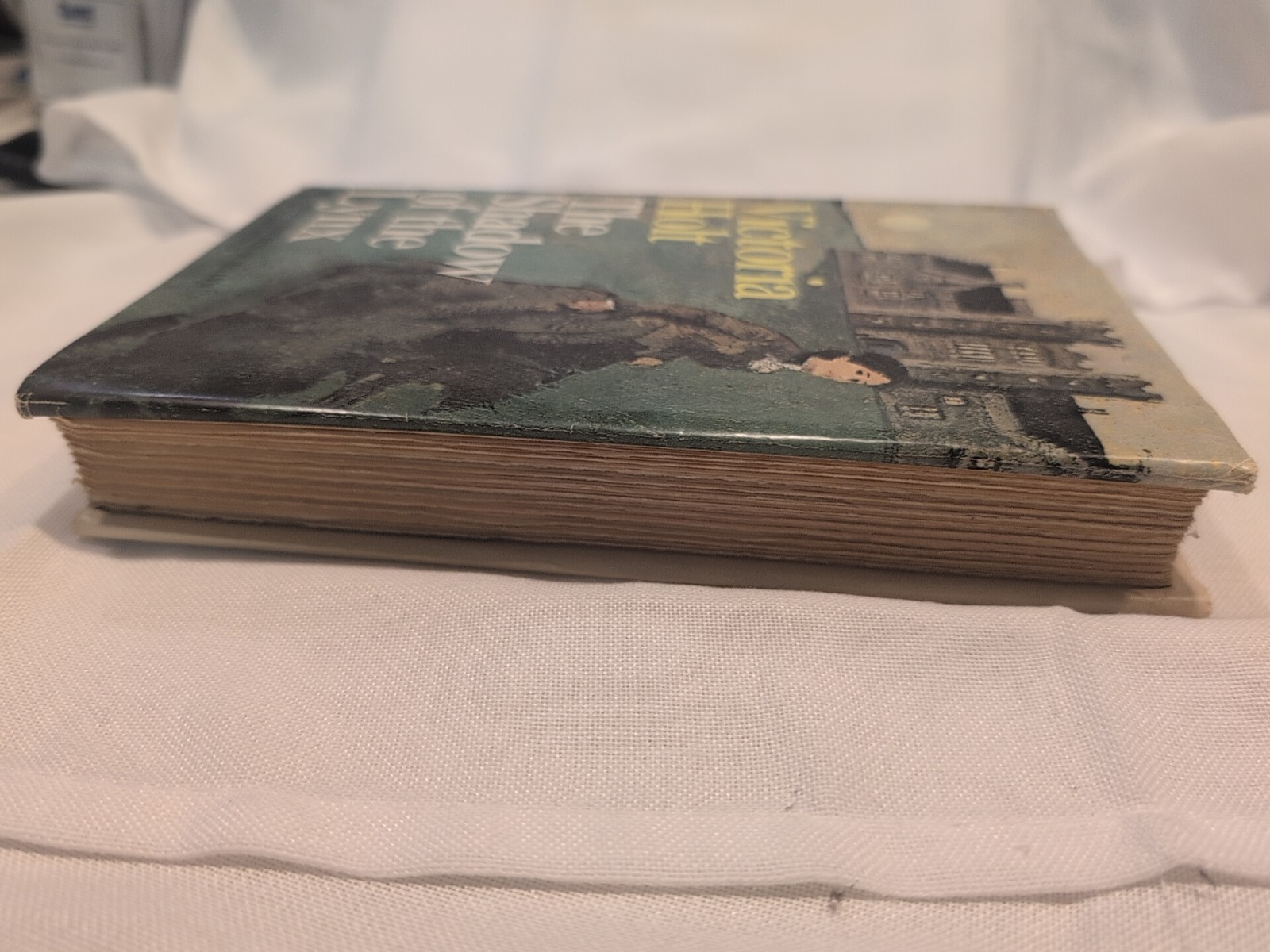 The Shadow of the Lynx Victoria Holt 1971 Book Club Edition Doubleday Hardcover