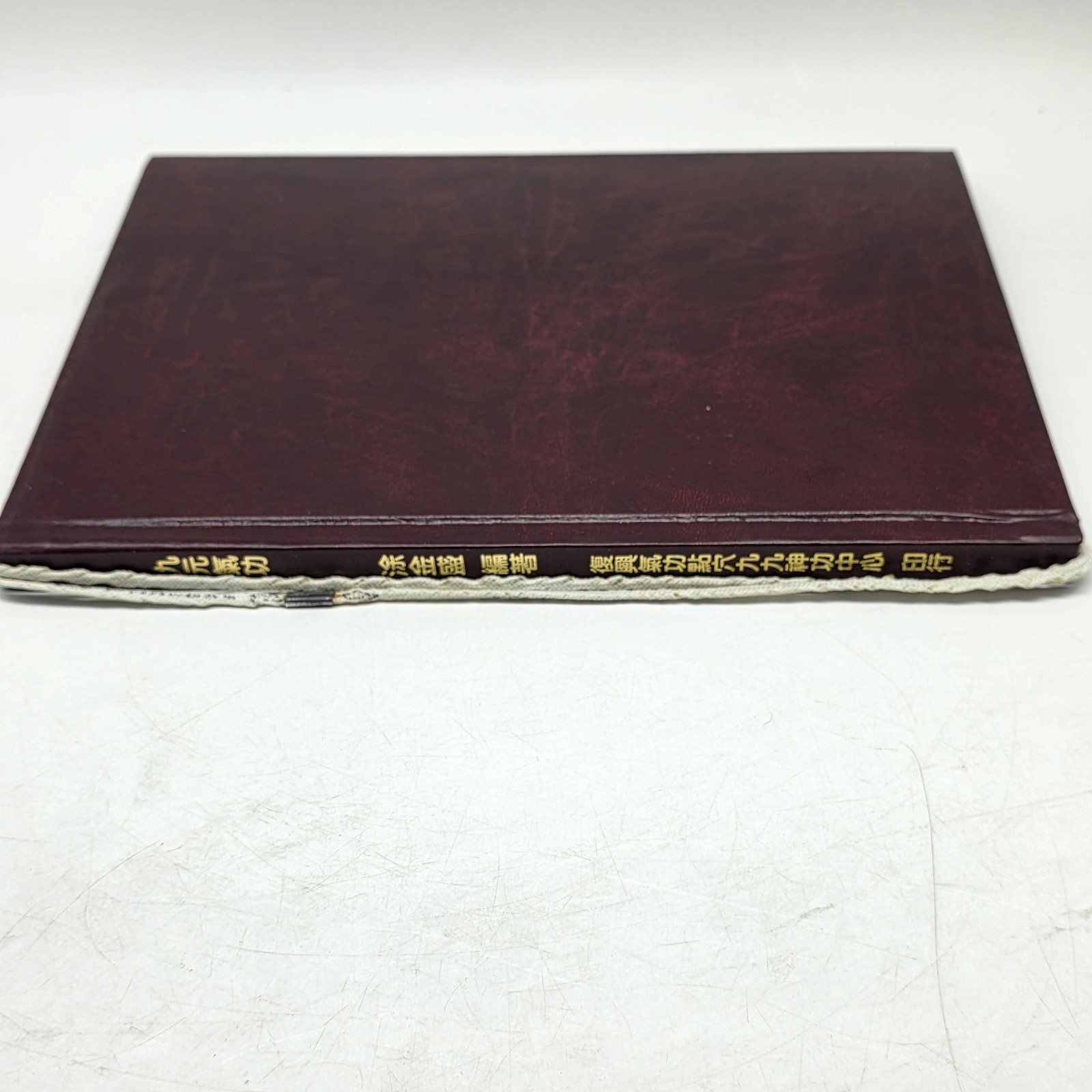 Vtg 1990 Taiwan Chinese Qigong Martial Arts Book 九元氣功 Vol 3 Tu Jin Sheng HC