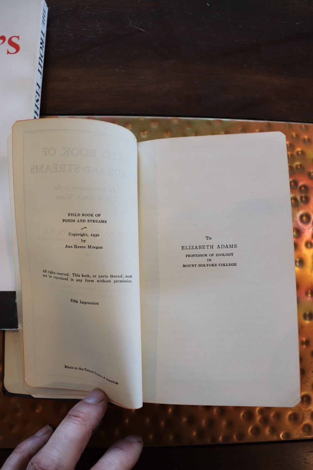 Field Book Of Ponds And Streams – 1930, Ann Haven Morgan, Illustrated, Putnam