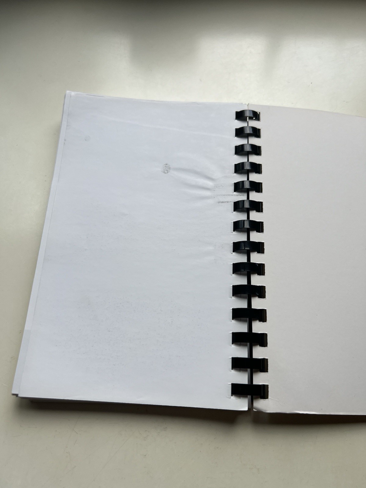 Pocket Guide to Legal Writing by William H. Putman Spiral Bound 2006